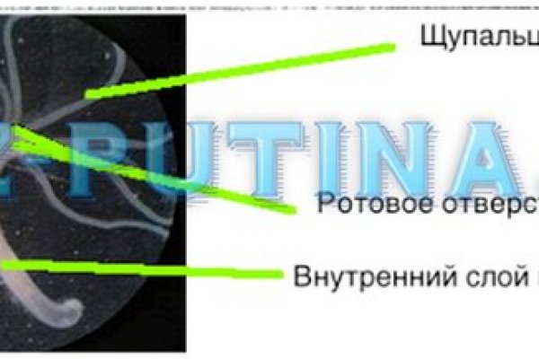 Как вывести деньги с кракена маркетплейс