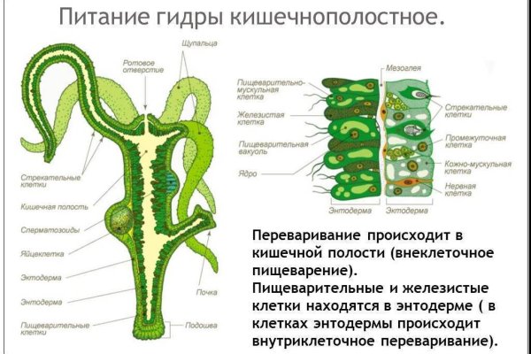 Кракен сайт kraken014 com